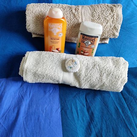 Petit Nid En Alsace Studio Independant Avec Salle De Douche Privative Buschwiller エクステリア 写真