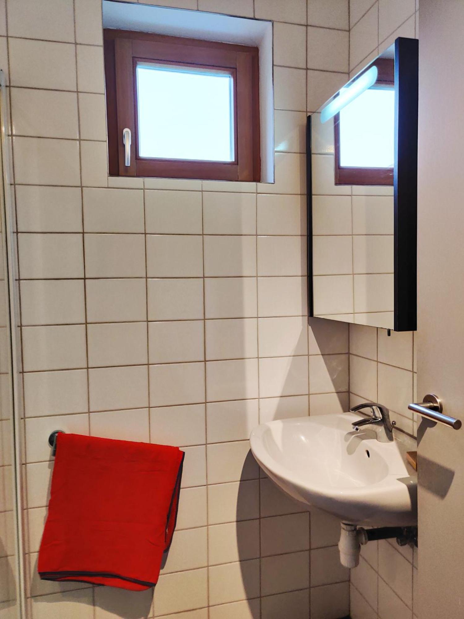 Petit Nid En Alsace Studio Independant Avec Salle De Douche Privative Buschwiller エクステリア 写真